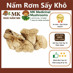 NẤM RƠM KHÔ SẤY NHIỆT LOẠI BÚP – NẤM DƯỢC LIỆU MK